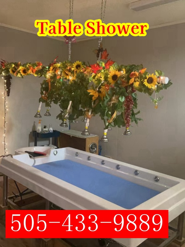 Advertiser photo 2 · listing 18064